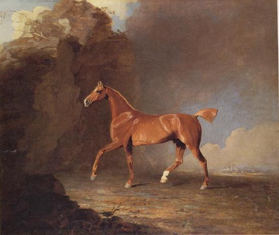 Benjamin Marshall A Golden Chestnut Racehorse by a Rock Formation With a Town Beyond oil painting image